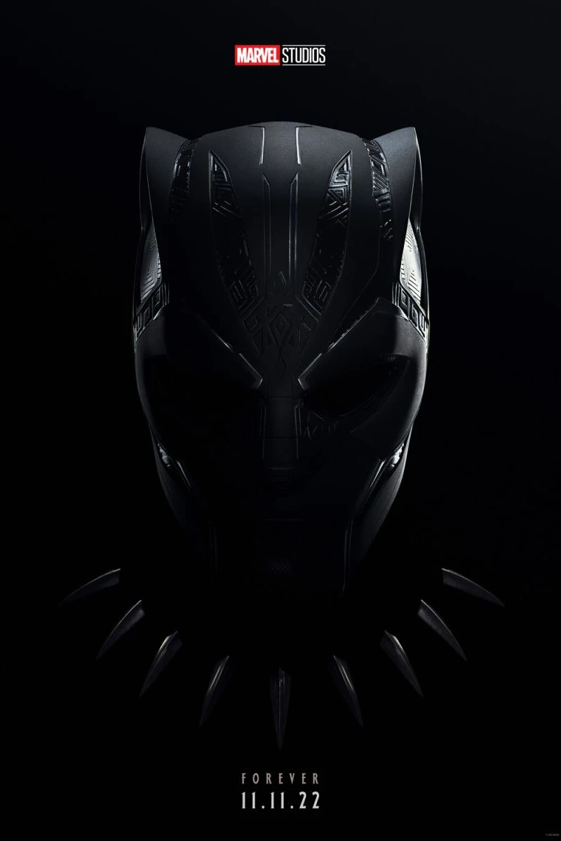 Marvel s Black Panther Wakanda Forever Poster
