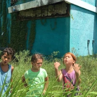 A24 releases first trailer for The Florida Project